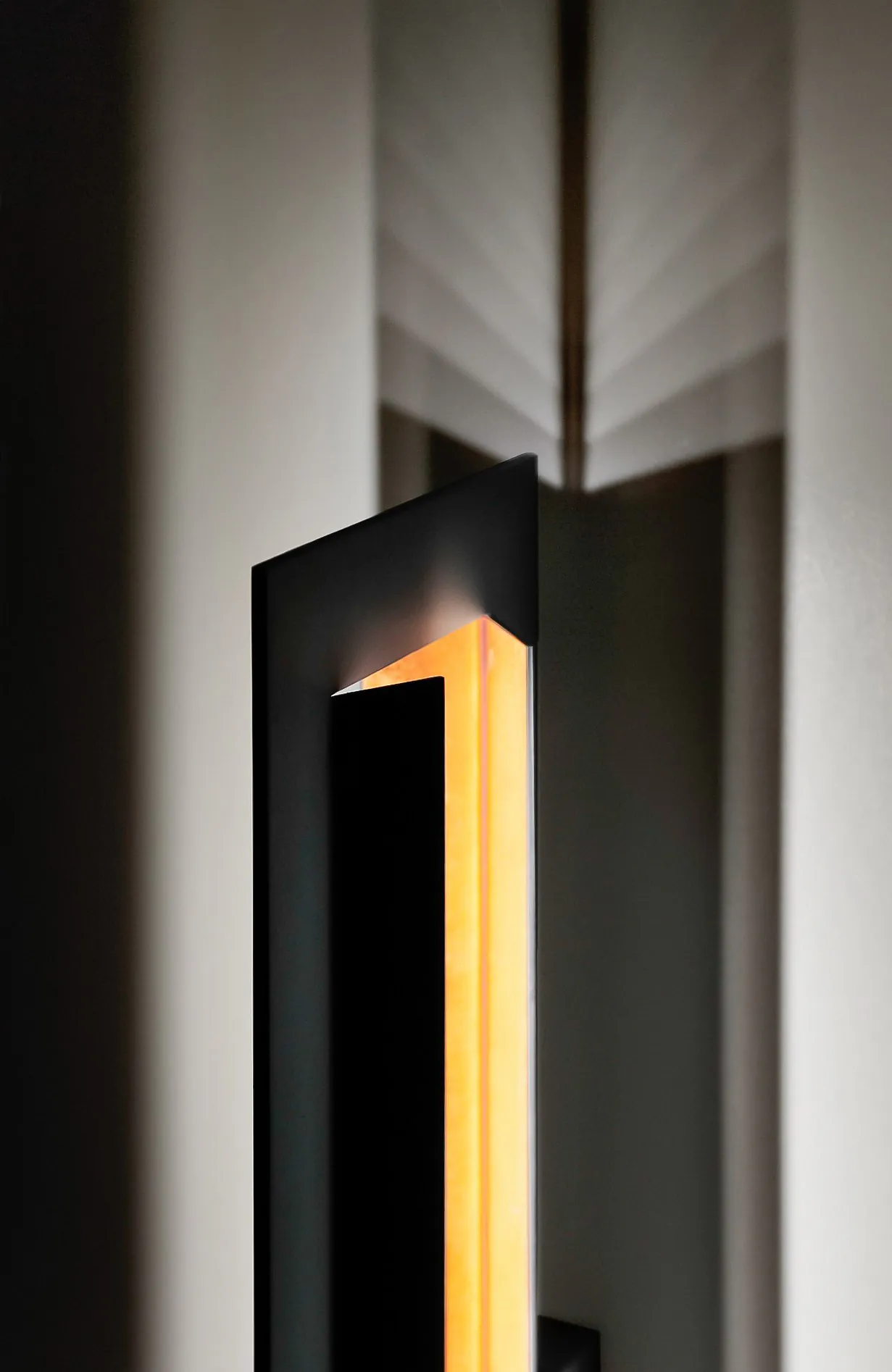 FOSSIL - LAMP — 3
