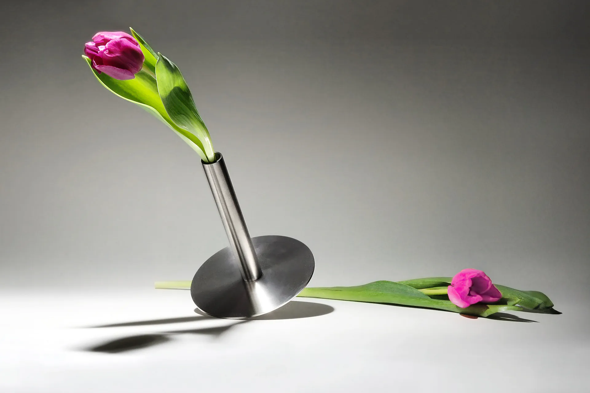 MOMO - THE FLOWER POT — 2